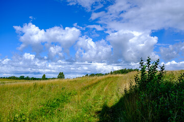 green meadow with storm clouds moving on