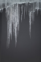 Obraz na płótnie Canvas frozen icicles hanging from building on cold winter day beginning to melting in warm sun depicting warmer weather of spring coming vertical format room for type