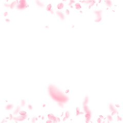 Obraz na płótnie Canvas Sakura petals falling down. Romantic pink flowers borders. Flying petals on white square background.