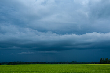Obraz premium green meadow with storm clouds moving on