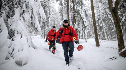 Front view of mountain rescue service with shovels on operation outdoors in winter in forest.
