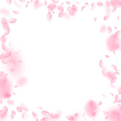 Fototapeta na wymiar Sakura petals falling down. Romantic pink flowers frame. Flying petals on white square background. L