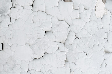 Very old faded white paint, many small cracks on the yellowed surface, vintage background close-up,...
