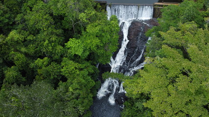 waterfall in the forest