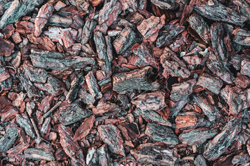 Old bark texture, decorative mulch from small pine fragments for mulching and flower bed design, selective focus.