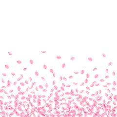 Sakura petals falling down. Romantic pink silky small flowers. Thick flying cherry petals. Scatter b