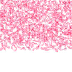 Sakura petals falling down. Romantic pink silky medium flowers. Thick flying cherry petals. Top grad