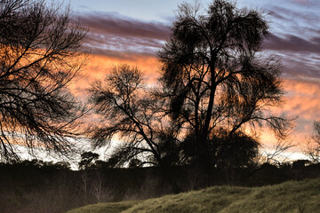 Fototapeta premium The colours of the sky