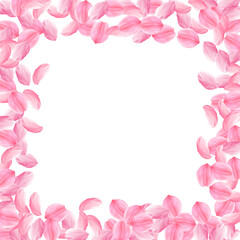 Sakura petals falling down. Romantic pink bright big flowers. Thick flying cherry petals. Square bor