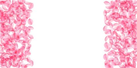 Sakura petals falling down. Romantic pink silky big flowers. Thick flying cherry petals. Wide border