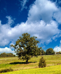 Obraz premium Rural village