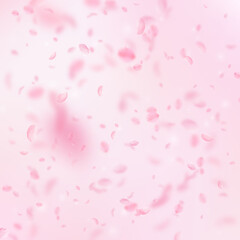 Fototapeta na wymiar Sakura petals falling down. Romantic pink flowers falling rain. Flying petals on pink square backgro