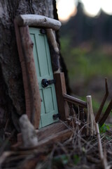 Fairy Door in the Woods