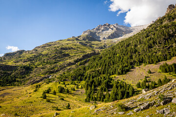 Beautiful postcard of a green valley with forests, high mountains and large meadows in summertime