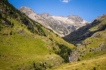 Fototapeta na wymiar Beautiful valley with green meadows, a river and trees, surrounded by high mountains