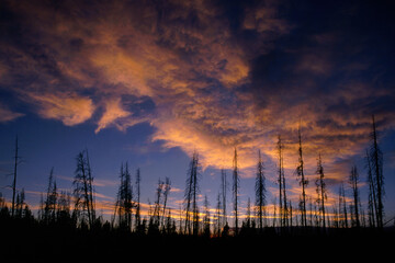 Fototapeta premium Sunset at Yellowstone
