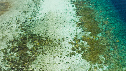 Fototapeta premium Sea water surface in lagoon with coral reef copy space for text. Top view transparent turquoise ocean water surface. background texture