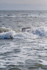 waves on the sea