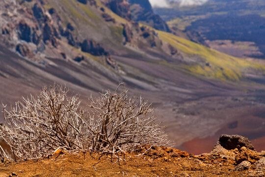 Colorful desert of Haleakala National Park, Maui, Hawaii, USA