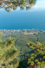Fototapeta na wymiar top view through the crowns of mountain pines on the resort town against the background of the blue sea and sky