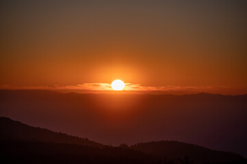 Tiefstehende Sonne im Schwarzwald.