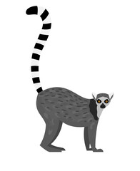 Tropical lemur. Cartoon funny monkey, slothful cute animal, vector illustration of lazy furry exotic character of madagaskar isolated on white background