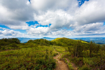 Bukowe Berdo path in Bieszczady © sitriel