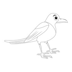 Magpie bird outline illustration set . Standing crow animal ornithology design. Vector clip art isolated on white background.