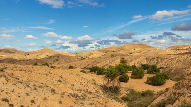 Landscape of mountain oasis in the Sahara desert, Tunisia