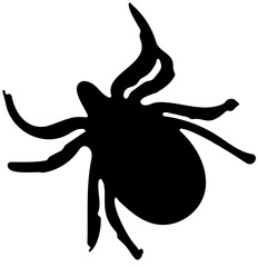 black and white illustration of a tick