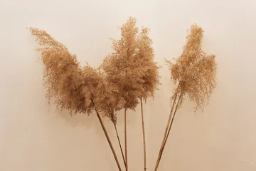Schilflaub verzweigt sich Blumenstrauß auf biege Hintergrund. Flache Lage, florales Design von oben. © Tetiana