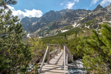wooden bridge in the mountains / Slovakia, High Tatras, Velká Studená dolina © Ladislav_Zemanek