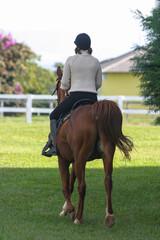 
Young girl riding her horse