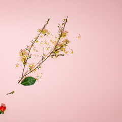 deer in spring on a pink background sends love