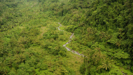 Fototapeta na wymiar River in the valley among the rainforest, covered with trees and jungle aerial view. River in the green forest. Camiguin, Philippines.