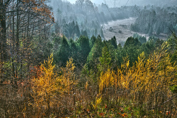 Beautiful view of the valley in autumn with fog and mist