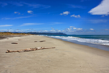 Idyllic sand beach on Coromandel peninsula in New Zealand