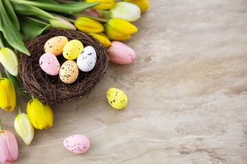 Colorful easter quail eggs in nest and tulips on beige stone background with . Flat lay. Spring composition. Happy easter greeting card. Copy space