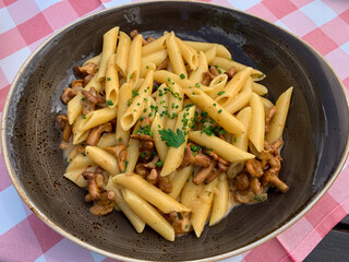 Penne rigate pasta with chanterelle mushrooms in cream sauce and parsley in the plate high angle view