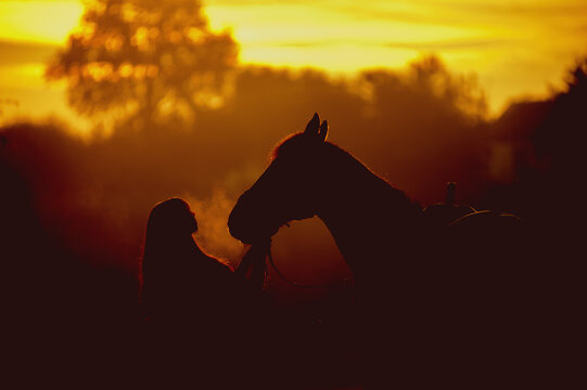 Silhouette of a girl and a horse on a background of dawn. Horse breathing vapor. A man kisses a horse