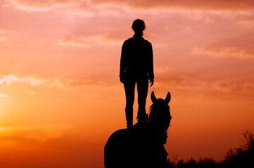 A girl stands on a horse on a background of sunrise or sunset. Silhouette of horse and rider