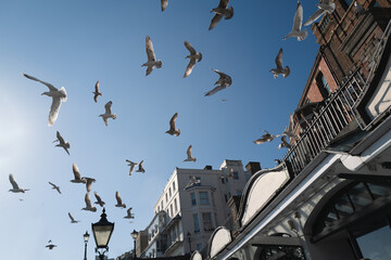 A flock of seagull fly off a terrace with arches against a blue sky
