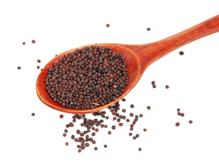 Dry mustard black seeds in wooden spoon isolted on the white background