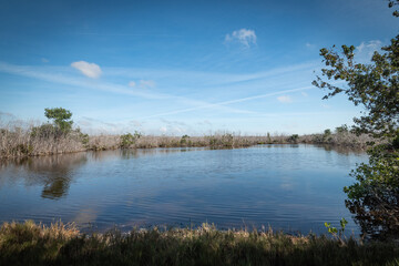 Beautiful and natural Floridian Park