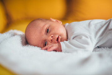 Doesn't his cuteness just melt your heart?