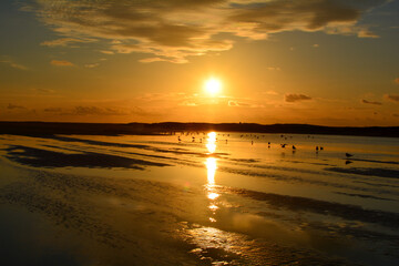Oramge sunset  over the sea with birds  at low tide