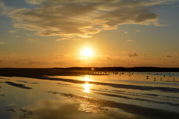 Sunset at low tide over the sea with lots of seagulls