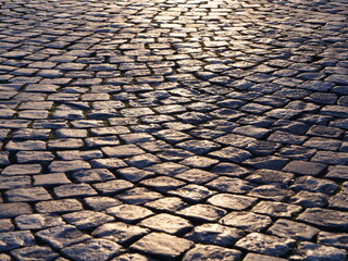 A close-up on the street of Paris at "place de la Concorde"