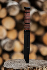 Army knife stuck in a log with a wooden background