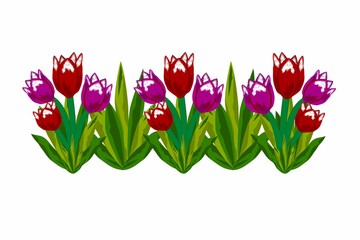 Border of red and pink tulips with green leaves on a white background for creativity and print